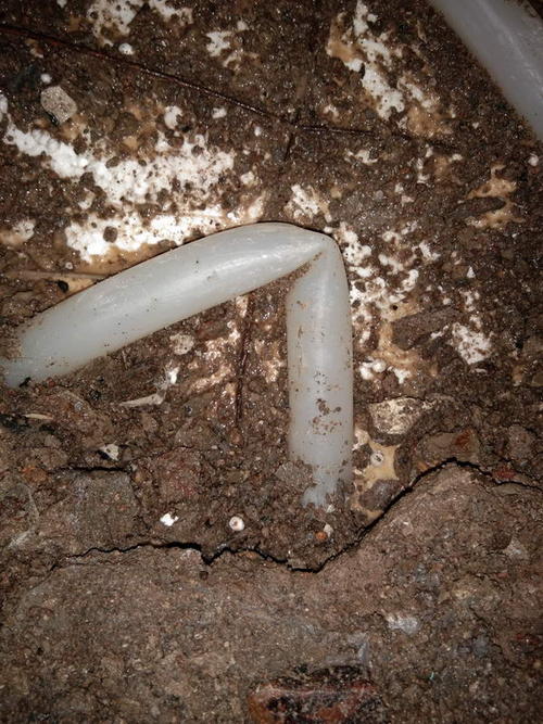 胶州堵点精准查找